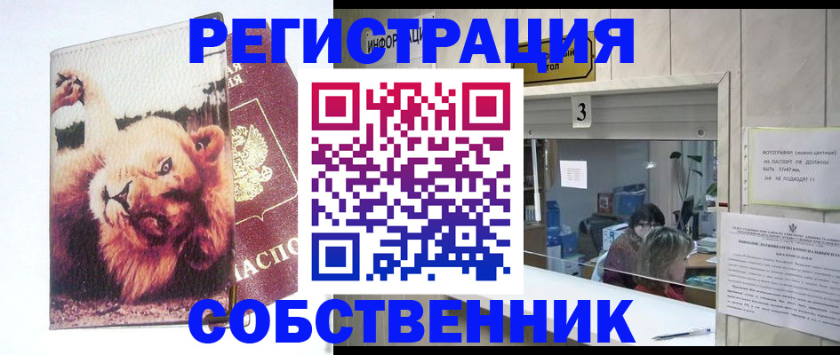 прописка поиск в Новороссийске