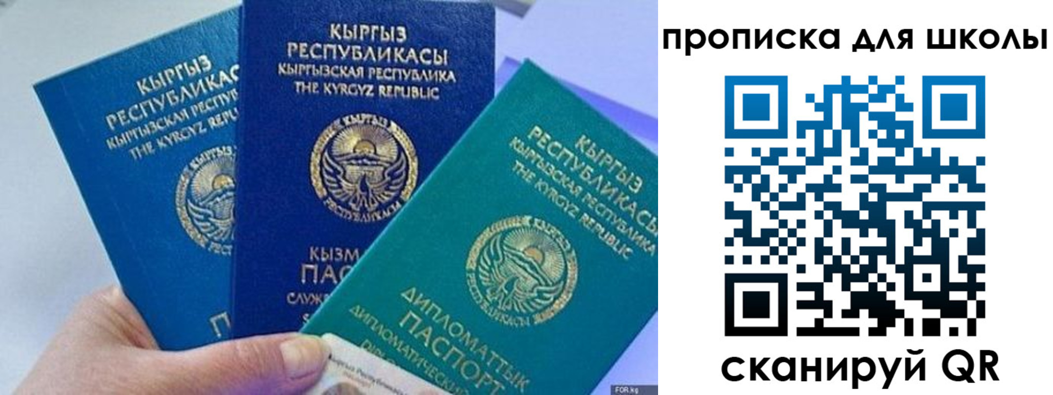 прописка регистрация в Новороссийске